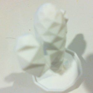 cactus(fake)